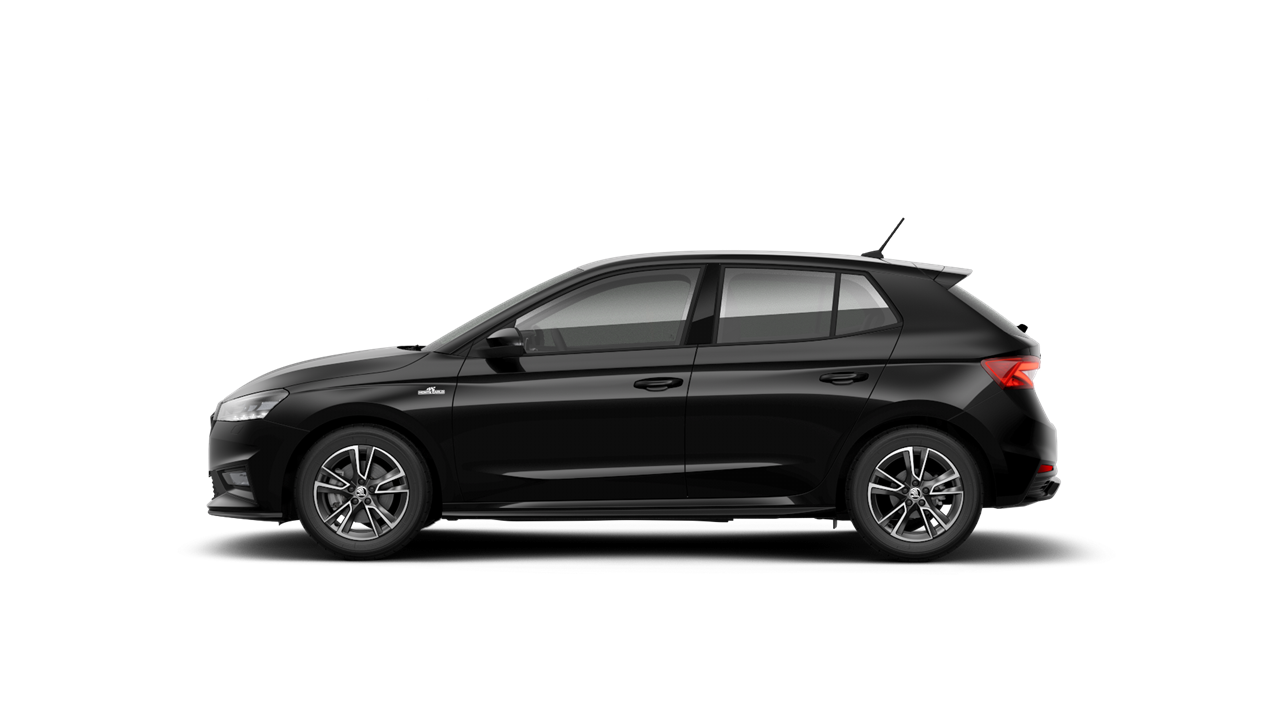 1.0 TSI Monte Carlo - UWH08J