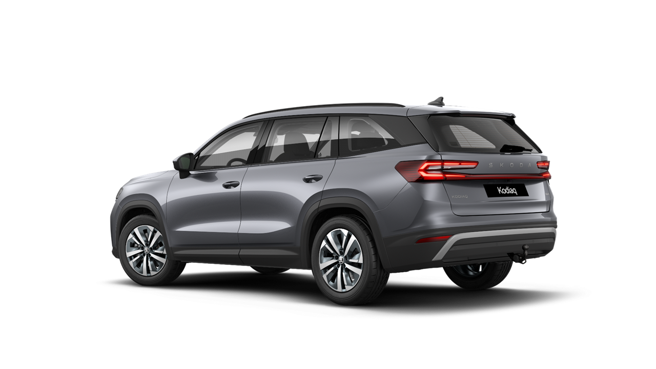 1.5 TSI EVO e-TEC Selection Automat - DEU34C