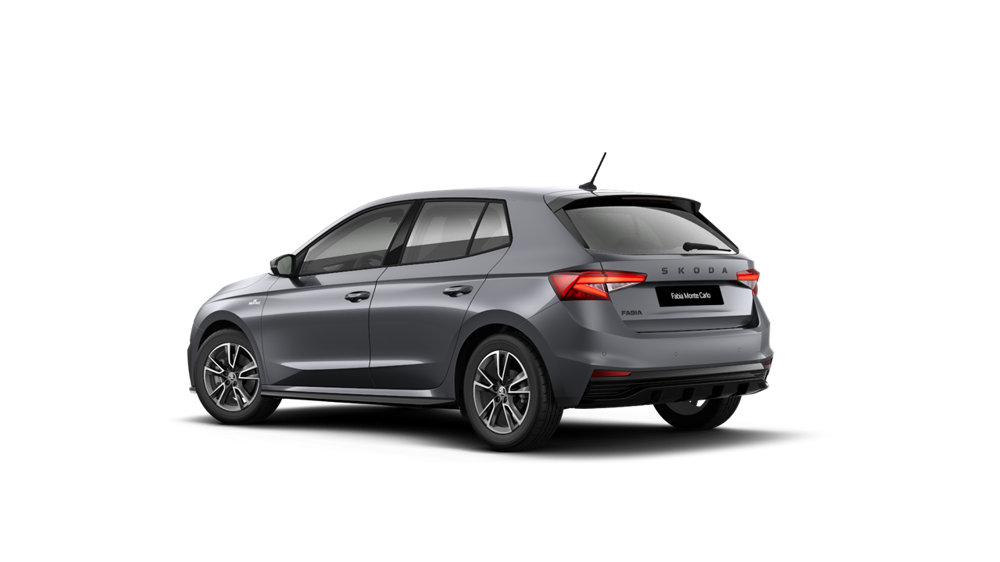 1.0 TSI Monte Carlo - SUJ012
