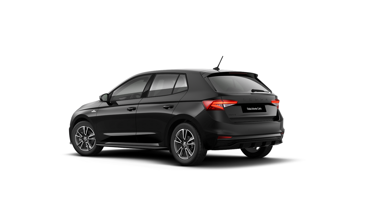 1.0 TSI Monte Carlo - UWH08J